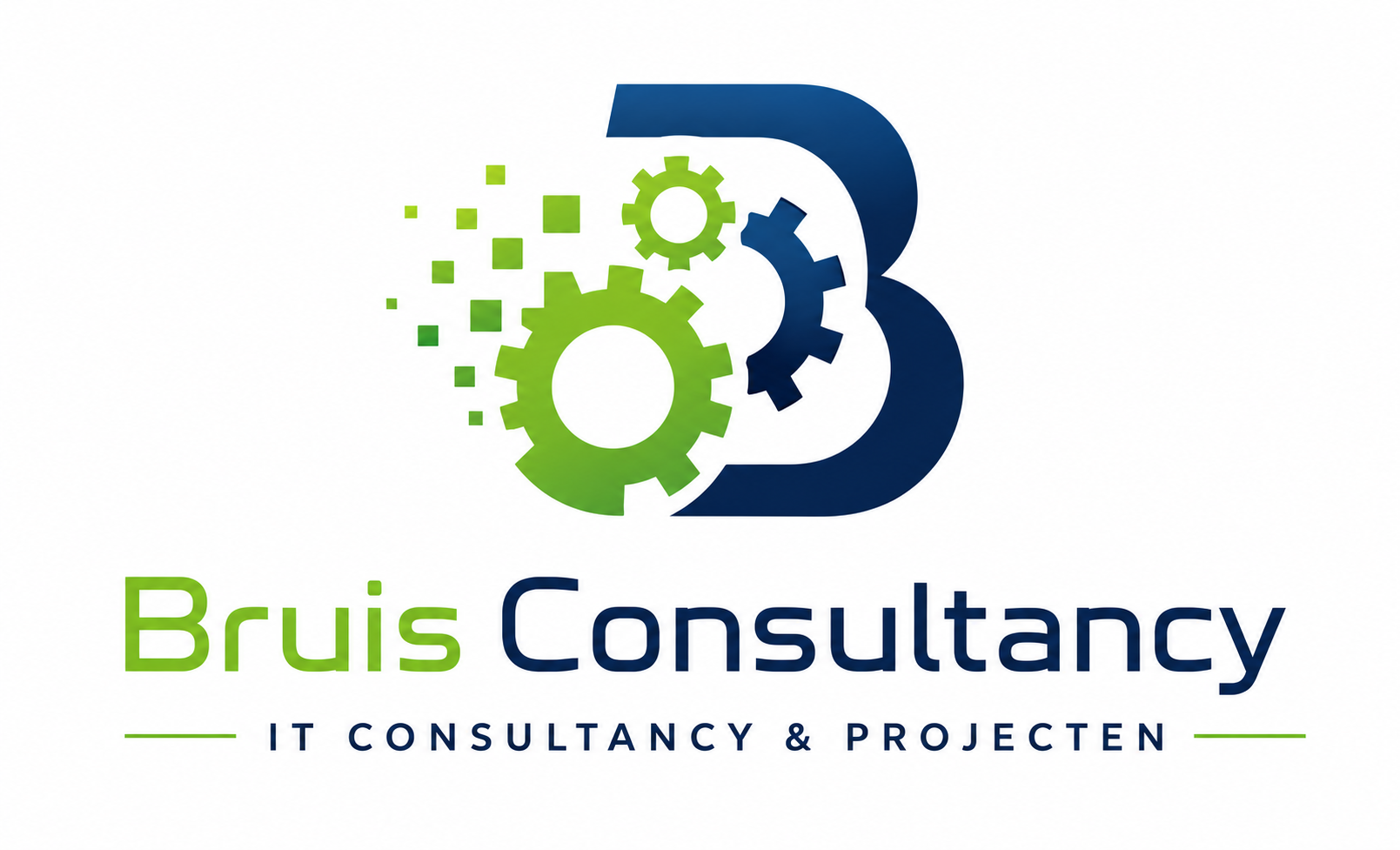 Beeldmerk Bruis Consultancy